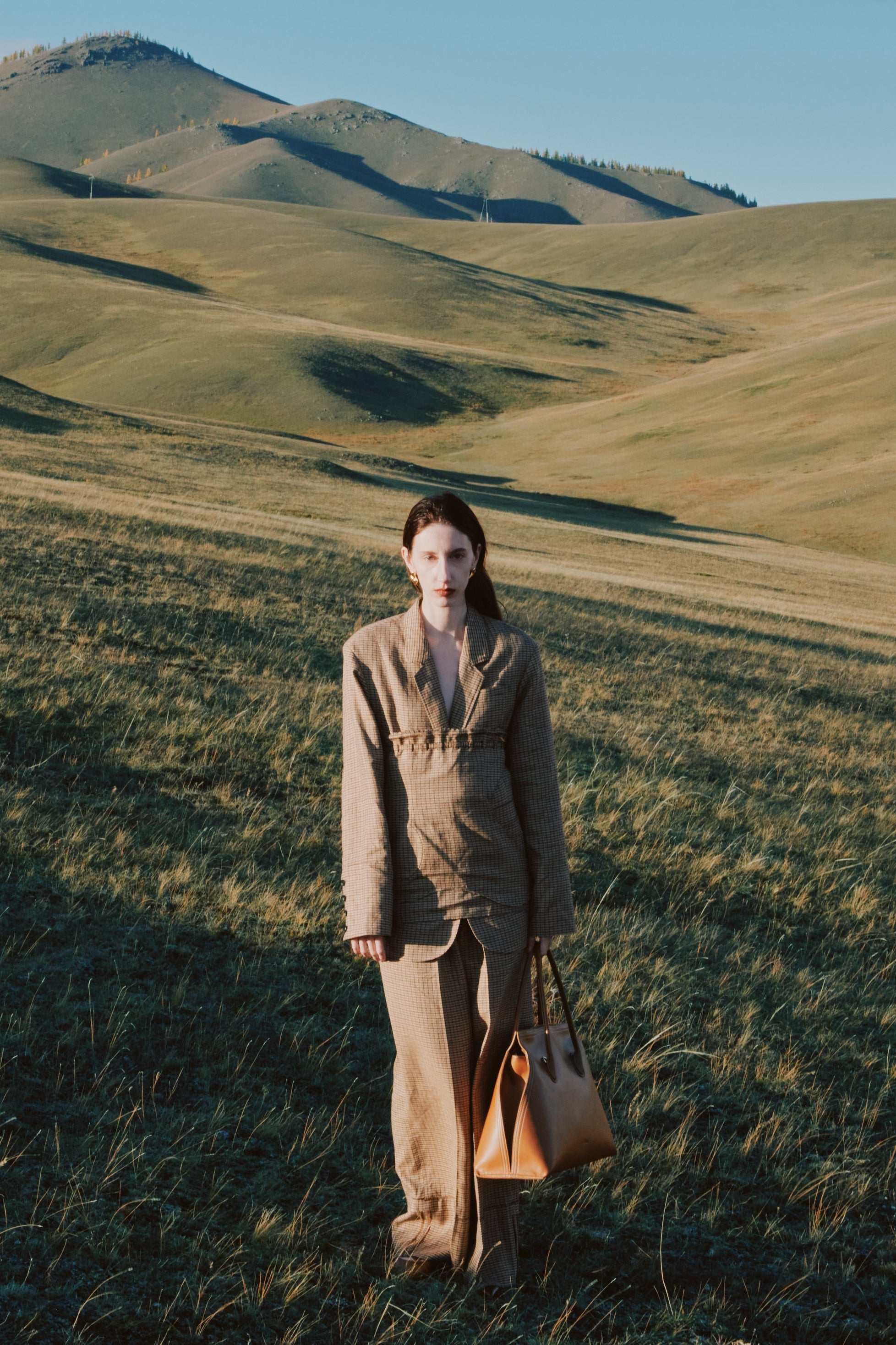 color_brown