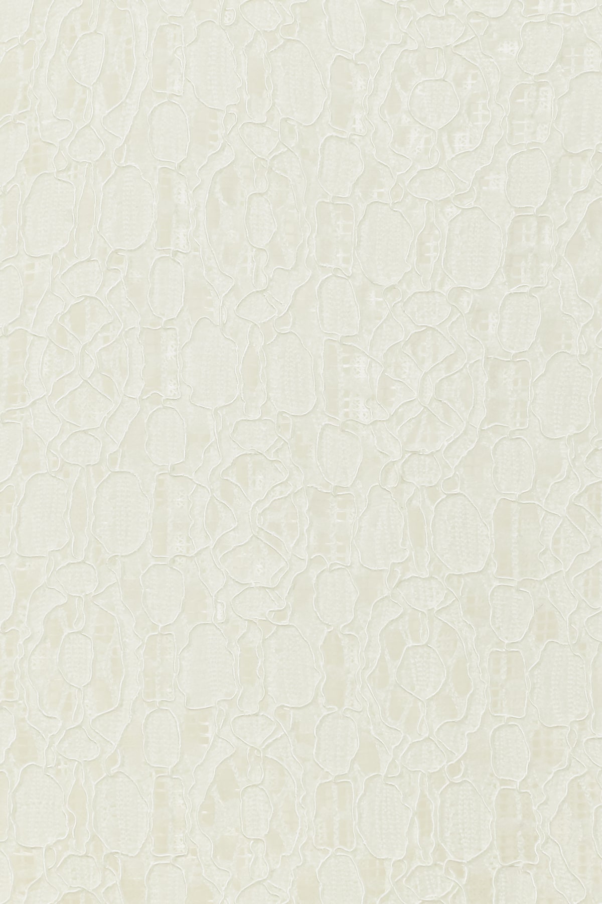 color_ivory