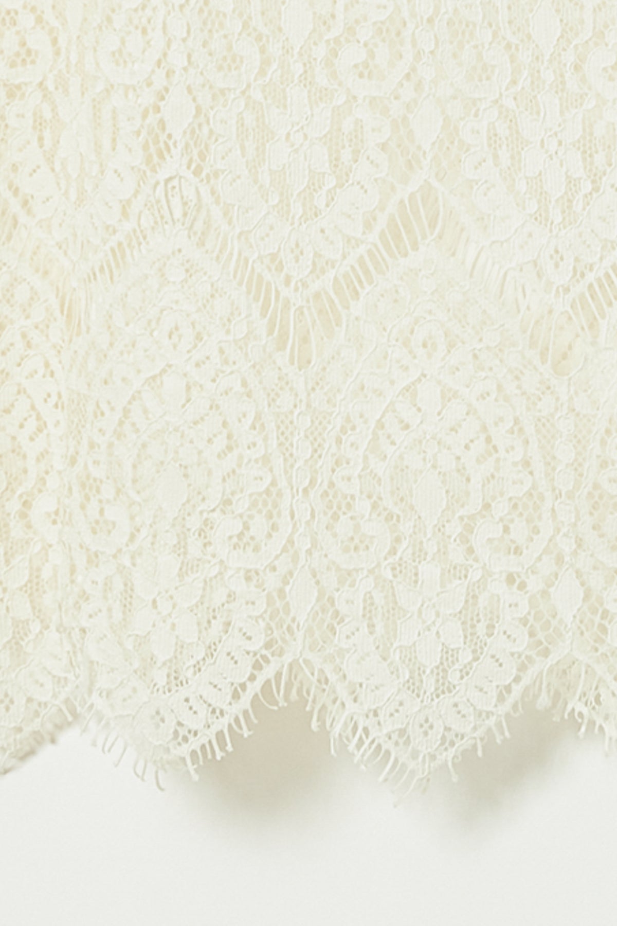 color_ivory